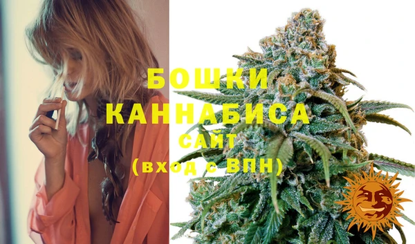 стаф Баксан