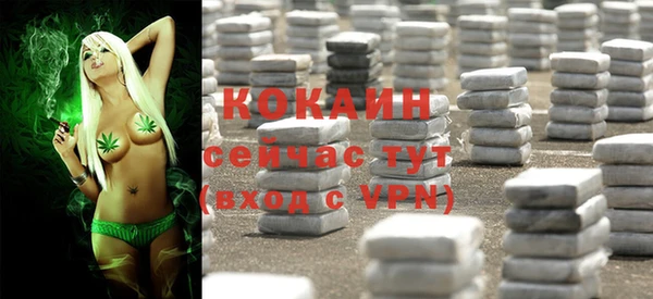 стаф Баксан