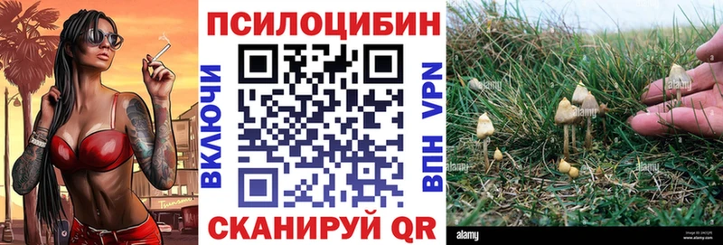 Галлюциногенные грибы Psilocybine cubensis  купить закладку  Новомосковск 